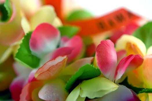 Artificial Hawaii flowers on white background
