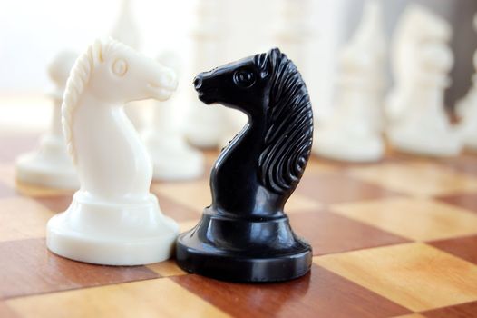 White and black knights on chess board