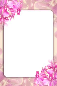 soft pastel tone orchid background