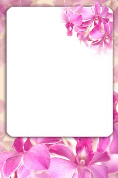 beautiful pink orchid frame