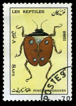 Afghan stamp from 1986 depicting a beetle
