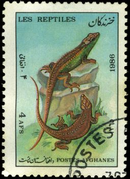 Afghan stamp from 1986 depicting a lizard
