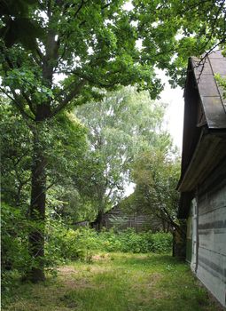 The old rural house