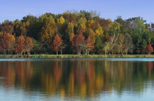 a picture of fall trees and water