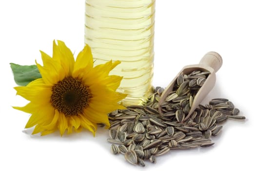 Sunflower seeds on a wooden shovel with sunflower blossom and oil bottle