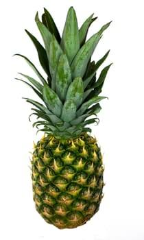pineapple isolated