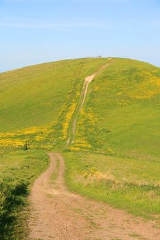 Mountain trail with wildflowers over blue sky.
