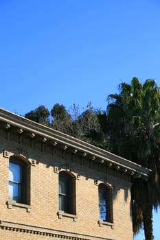 Old brick house next to tropical palm trees.
