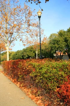 Park during fall season showing vivid colors.
