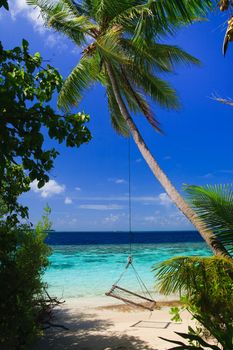 Tropical Paradise at Maldives with palms and blue sky