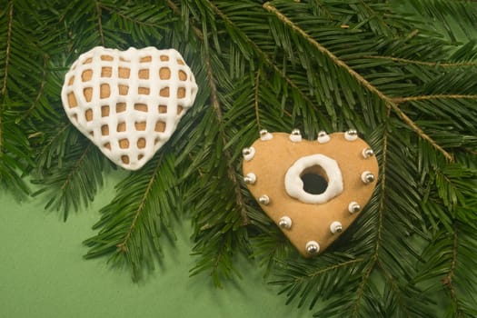 Two heart shaped gingerbread cookies on fir branch