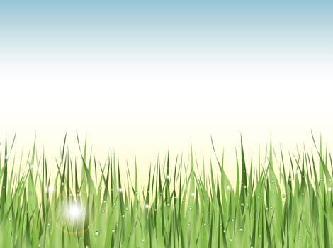 Illustration of green wet grass against blue sky with copyspace