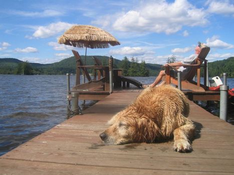 Lazy summer day with dog and owner sleeping on a dock on a Maine lake.