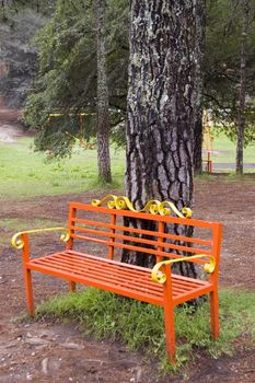 Park Bench in a Mexican Park