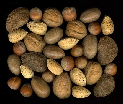 A collection of mix nuts in shells: walnut, hazelnut, pecan, almond, brazil on black background