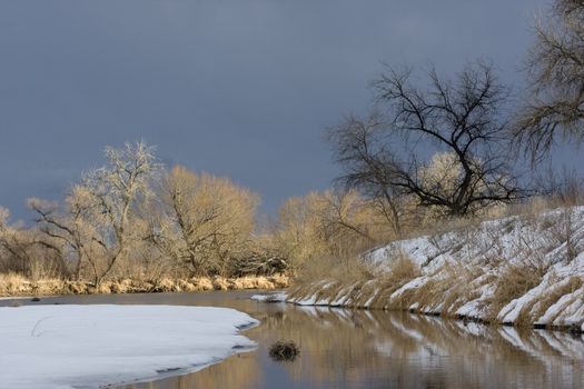 Riparian forest along South Platte River in eastern Colorado