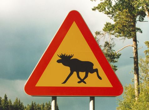orange traffic sign attention elk