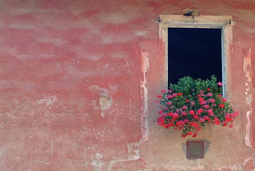 open window in red wall with flowers