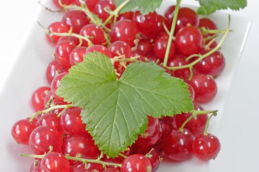 Close up of red currants with leaf on a white plate