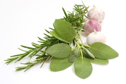 Culinary herbs with mortar on light background
