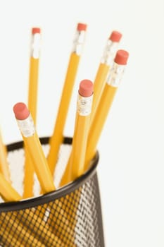 Group of pencils in a pencil holder with eraser ends up.