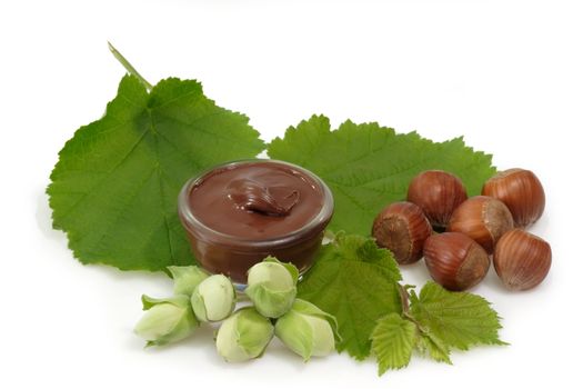 Chocolate creme with hazelnuts on bright Background