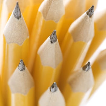 Close up of group of sharp pencils.