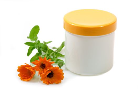 Cream pot with marigold on white background