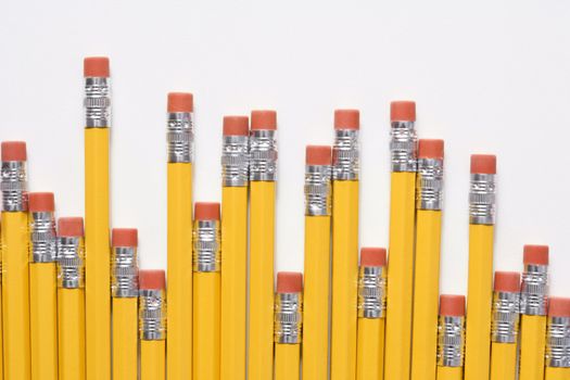 Uneven row of eraser ends of pencils.