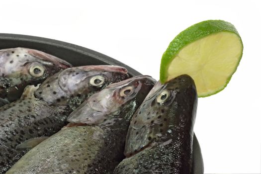 Close-up of raw rainbow trouts in a pan ready to cook