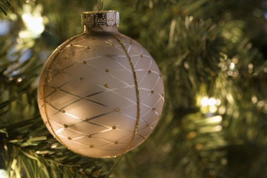 Close up of gold ornament hanging in Christmas tree.