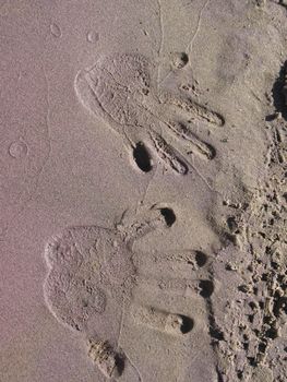 Human pair handprints on river sand beach.