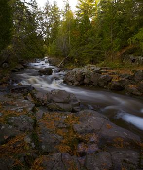 Winding Forest Creek in the North Woods of Minnesota