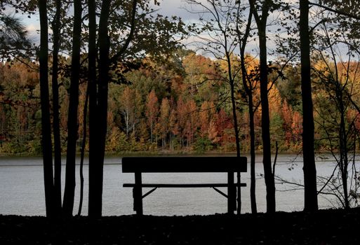 a picture of fall trees and water