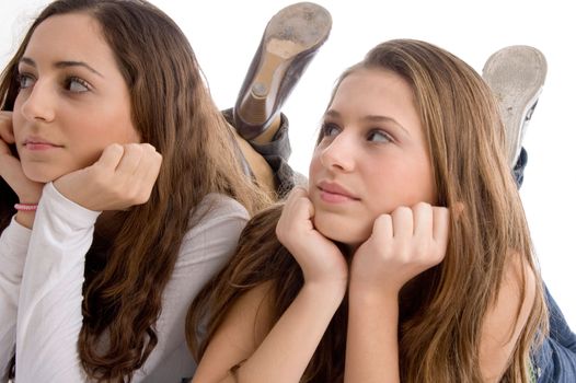 close up view young two cute friends on an isolated white background