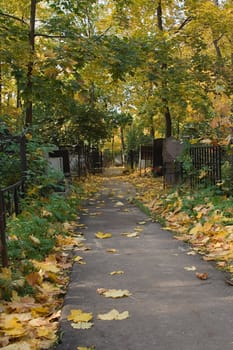 Pyatnitskoe cemetery in Moscow. Autumn sketch.