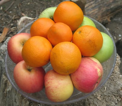 Apples and oranges on a tray