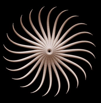Abstract organic star on black background - 3d illustration