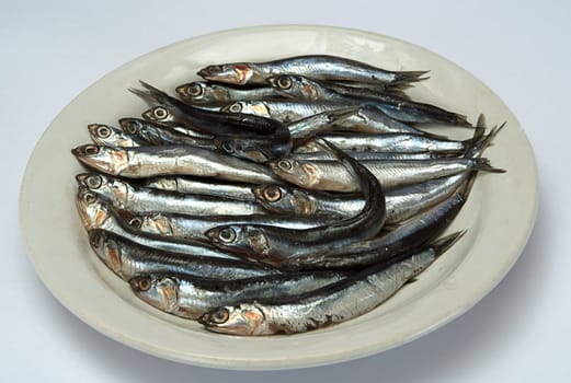  appetizing  salty sprat on plate