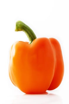 one orange paprika on white background