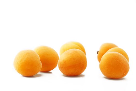 seven orange apricots on white background