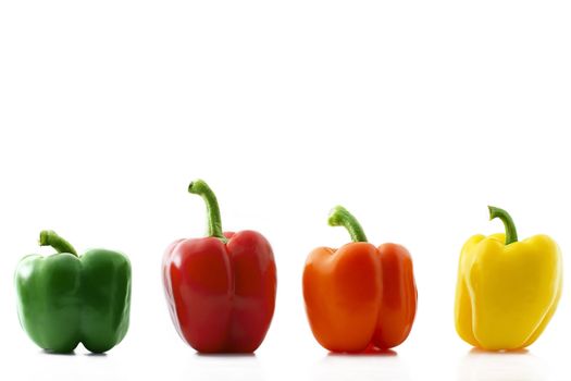 a colorful paprika row on white background