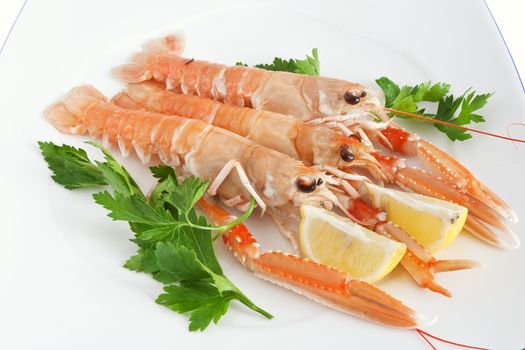 closeup of three prawns with parsleyand lemon on a white plate isolated on white background