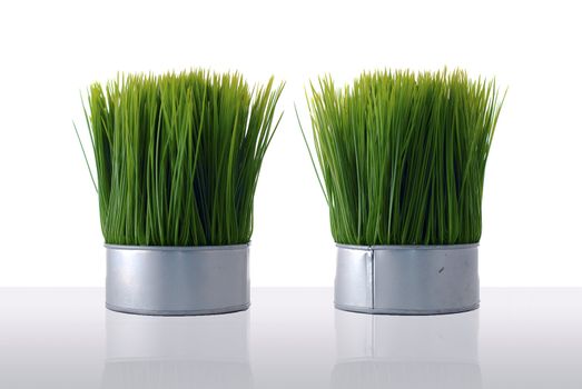 Two aluminum containers with artificial green grass isolated from the white background and on top of a reflective white surface.