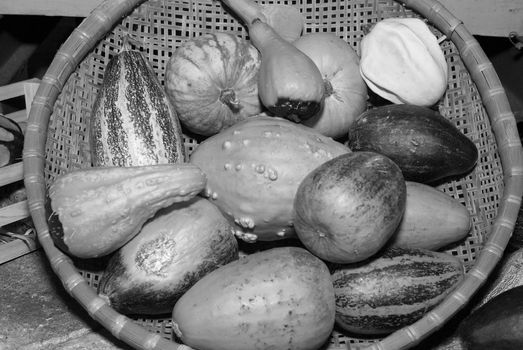 a basket full of pumpkins in monochrome color