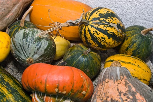 a set of some colorful pumpkins