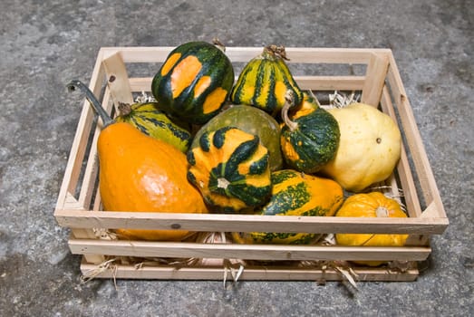a basket full of colorful pumpkins