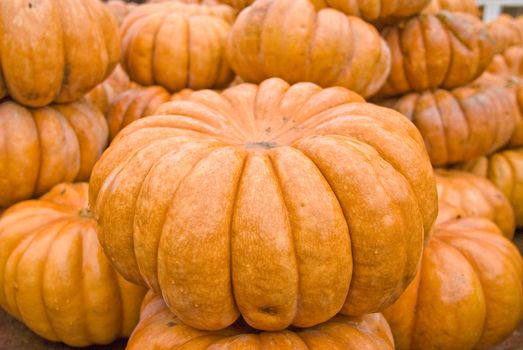 colorful pumpkins stacked for buyers