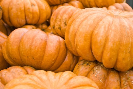 colorful pumpkins stacked for buyers