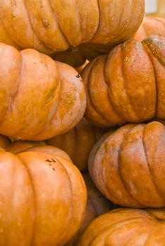 colorful pumpkins stacked for buyers